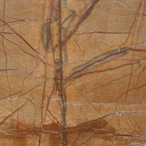 10 Indian Rain Forest Golden Marble - Image 1