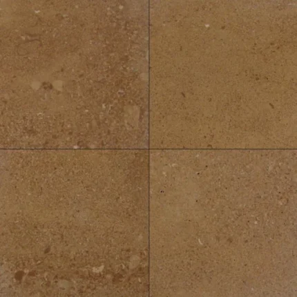Asian Gold Sandstone