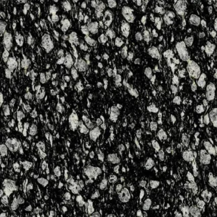 Coral Black Granite