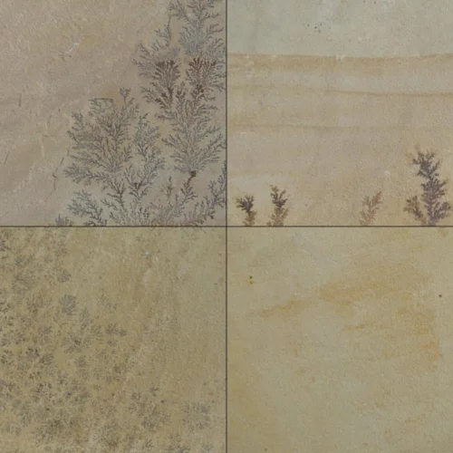 9 Fossil Mint Sandstone - Image 1